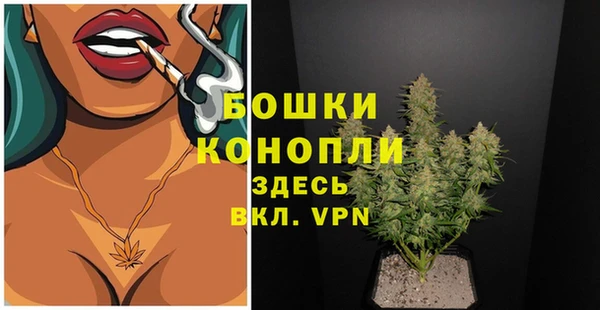 ПСИЛОЦИБИНОВЫЕ ГРИБЫ Богданович