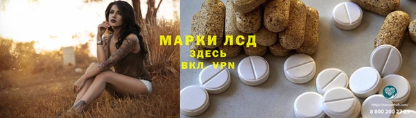 ПСИЛОЦИБИНОВЫЕ ГРИБЫ Богданович