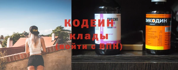 ПСИЛОЦИБИНОВЫЕ ГРИБЫ Богданович