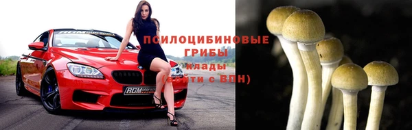 ПСИЛОЦИБИНОВЫЕ ГРИБЫ Богданович