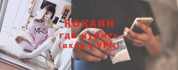 ПСИЛОЦИБИНОВЫЕ ГРИБЫ Богданович