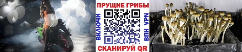 MEGA онион  Кирово-Чепецк  Псилоцибиновые грибы ЛСД 
